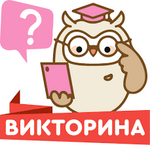 Без названия.png