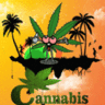Cannabis