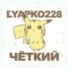 lyapko228