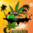 Cannabis